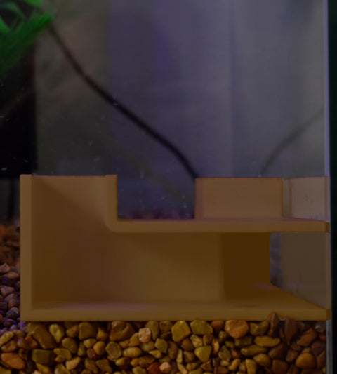 Chatelet Aquarium Corner Viewing Tunnel – Immersive Tank Decor | Made in USA Chatelet Manufacturing 