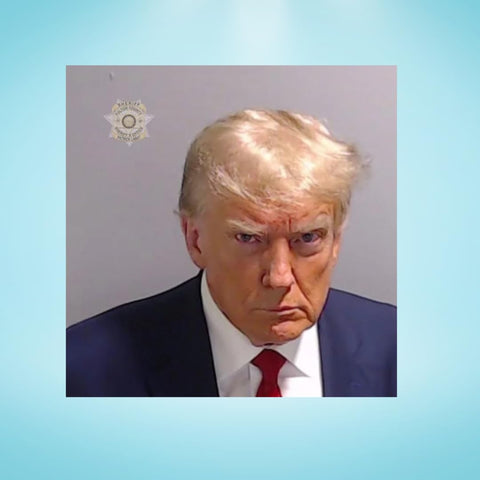 Trump Mugshot Vinyl Sticker Set – 3 Inch Durable Decals – 10 Pack | Made in USA Chatelet Manufacturing 
