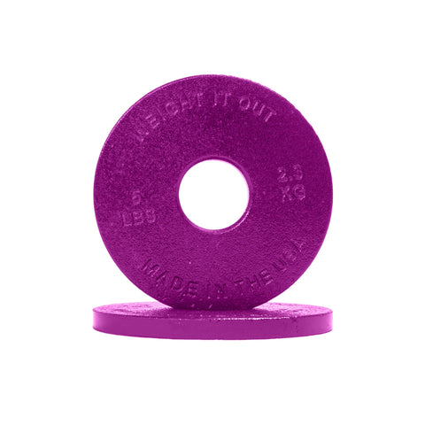 Cast Iron Precision Weight Plate Pairs – Durable Gym Plates | Made in USA Weight It Out 