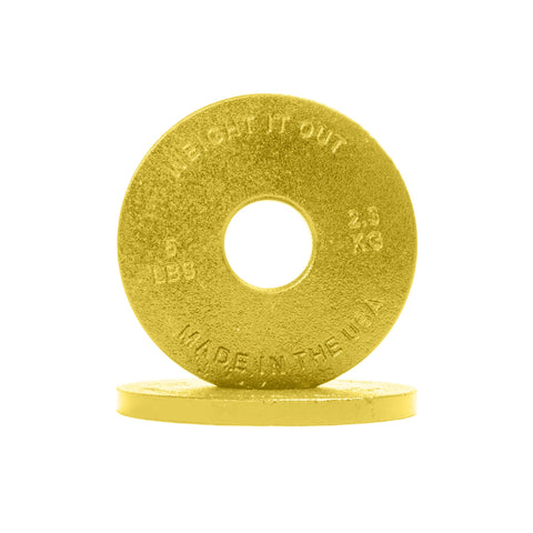 Cast Iron Precision Weight Plate Pairs – Durable Gym Plates | Made in USA Weight It Out 