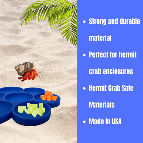Hermit Crab Food Tray – 7 Compartment Feeding Dish for Crabs and Snails | Made in USA Chatelet Manufacturing 