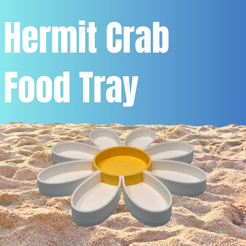 Hermit Crab Daisy Food Tray | 9 Dividers Daisy Design | Great Feeder Dish for Crab, Lizard or Frog Terrariums | Made in USA Chatelet Manufacturing 
