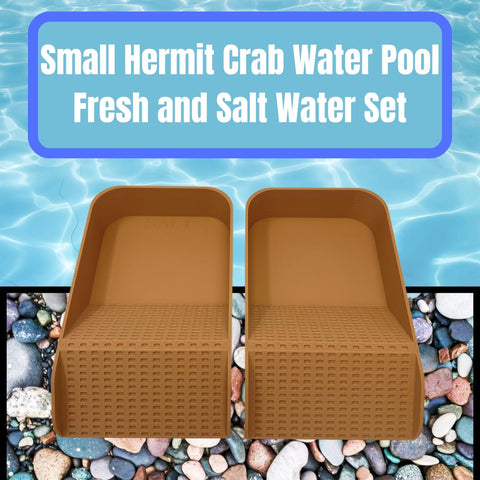 Hermit Crab Hydration Platform Pool – 6.5 x 4 Inch Ramp Access | Made in USA Chatelet Manufacturing 