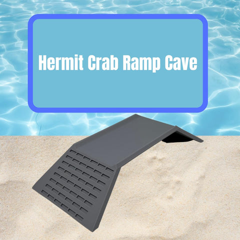 Hermit Crab Climbing Toy & Tunnel Cave | Terrarium Ramp Cave & Hideout Combo for Hermit Crabs, Lizards, Amphibians, & Other Pets | Made in USA Chatelet Manufacturing 