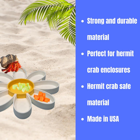Hermit Crab Daisy Food Tray | 9 Dividers Daisy Design | Great Feeder Dish for Crab, Lizard or Frog Terrariums | Made in USA Chatelet Manufacturing 