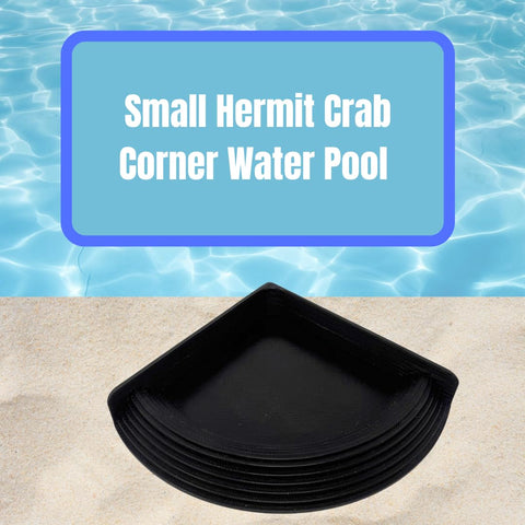 Hermit Crab Corner Pool | Watering Dish for Crabs, Frogs, Lizards | Corner Watering Pool With Ramp Access | Made in USA Chatelet Manufacturing 