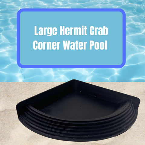 Hermit Crab Corner Pool | Watering Dish for Crabs, Frogs, Lizards | Corner Watering Pool With Ramp Access | Made in USA Chatelet Manufacturing 