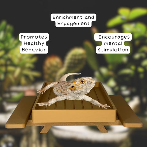 Reptile Terrarium Picnic Table – Platform Accessory for Bearded Dragons and Lizards | Made in USA Chatelet Manufacturing 