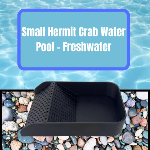 Hermit Crab Hydration Platform Pool – 6.5 x 4 Inch Ramp Access | Made in USA Chatelet Manufacturing 