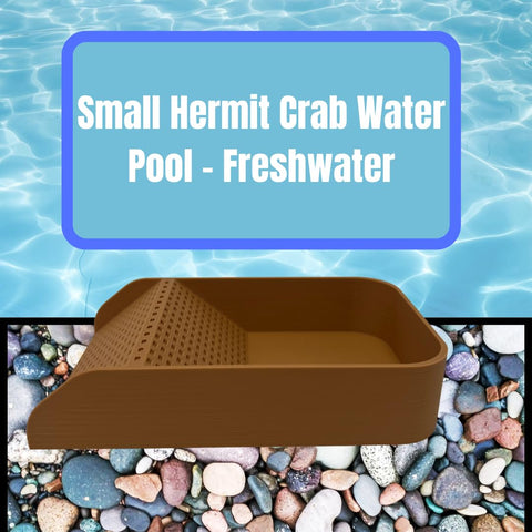 Hermit Crab Hydration Platform Pool – 6.5 x 4 Inch Ramp Access | Made in USA Chatelet Manufacturing 
