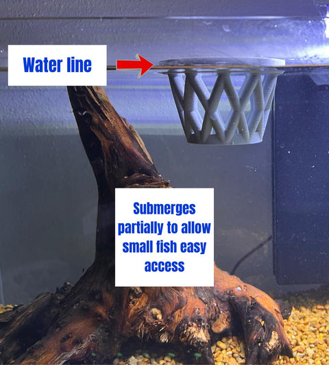 Chatelet Small Aquarium Fish Feeding Cage – Surface Float Design | Made in USA Chatelet Manufacturing 