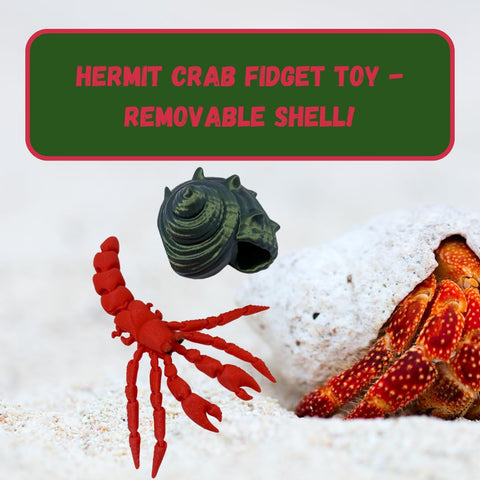 Articulated Hermit Crab & Alligator Flexible 3D Printed Fidget Toys – Made in USA Chatelet Manufacturing 