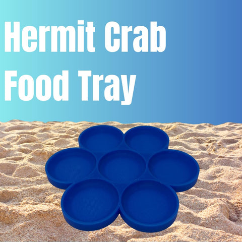 Hermit Crab Food Tray – 7 Compartment Feeding Dish for Crabs and Snails | Made in USA Chatelet Manufacturing 