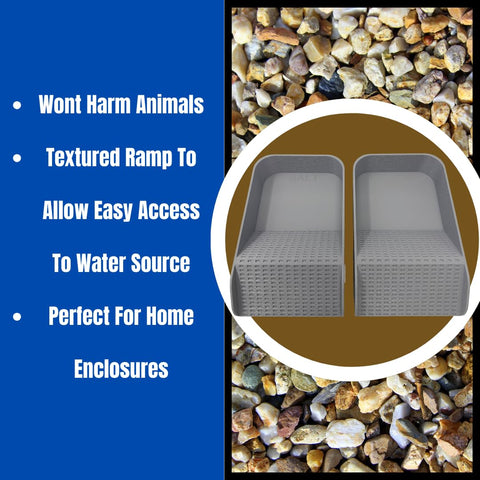 Hermit Crab Hydration Platform Pool – 6.5 x 4 Inch Ramp Access | Made in USA Chatelet Manufacturing 