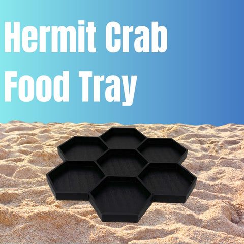 Hermit Crab Food Tray – 7 Compartment Feeding Dish for Crabs and Snails | Made in USA Chatelet Manufacturing 