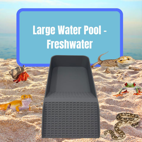 XL Hermit Crab Watering Pool – Platform Ramp Accessory for Turtles and Amphibians | 9.75 Inch x 5 Inch | Made in USA Chatelet Manufacturing 