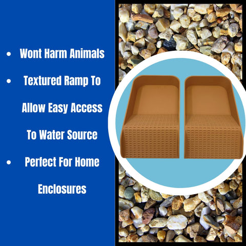 Hermit Crab Hydration Platform Pool – 6.5 x 4 Inch Ramp Access | Made in USA Chatelet Manufacturing 