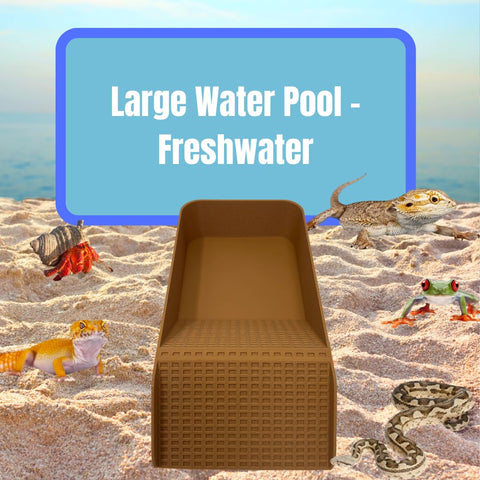 XL Hermit Crab Watering Pool – Platform Ramp Accessory for Turtles and Amphibians | 9.75 Inch x 5 Inch | Made in USA Chatelet Manufacturing 