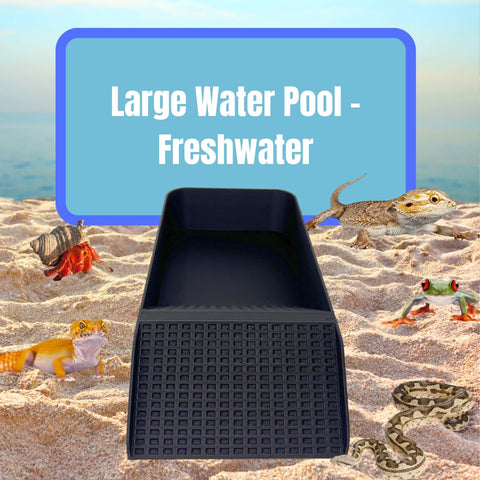 XL Hermit Crab Watering Pool – Platform Ramp Accessory for Turtles and Amphibians | 9.75 Inch x 5 Inch | Made in USA Chatelet Manufacturing 