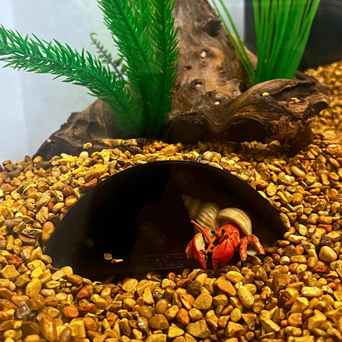 REEFSHAPE Aquarium or Terrarium Pocket Cave | Minimalist Shelter Cave for Fish, Shrimp, Reptiles, Amphibians, & More! | Made in USA Chatelet Manufacturing 