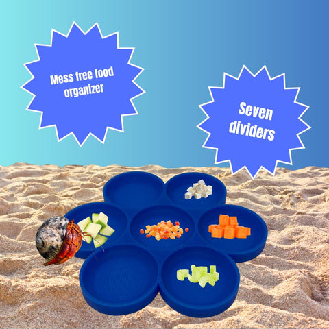 Hermit Crab Food Tray – 7 Compartment Feeding Dish for Crabs and Snails | Made in USA Chatelet Manufacturing 