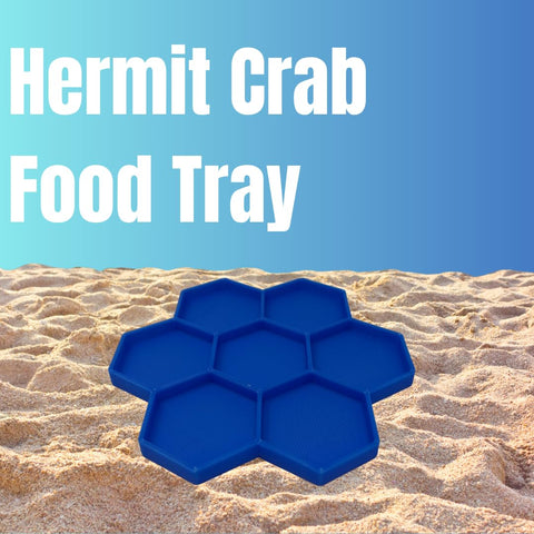 Hermit Crab Food Tray – 7 Compartment Feeding Dish for Crabs and Snails | Made in USA Chatelet Manufacturing 