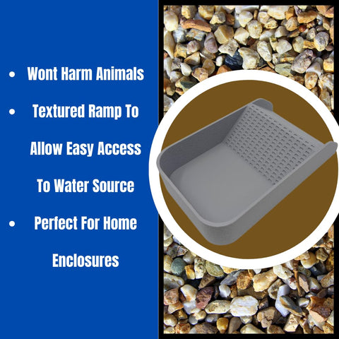 Hermit Crab Hydration Platform Pool – 6.5 x 4 Inch Ramp Access | Made in USA Chatelet Manufacturing 