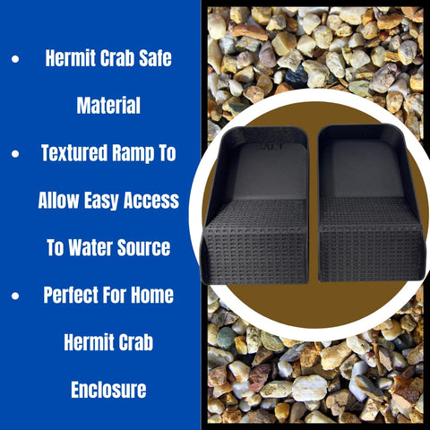 Hermit Crab Hydration Platform Pool – 6.5 x 4 Inch Ramp Access | Made in USA Chatelet Manufacturing 
