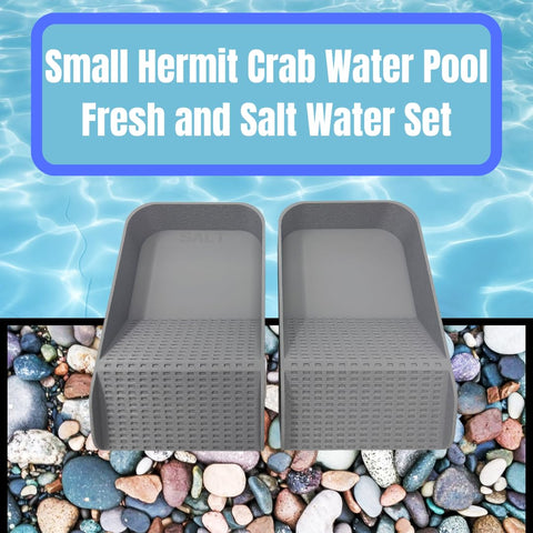 Hermit Crab Hydration Platform Pool – 6.5 x 4 Inch Ramp Access | Made in USA Chatelet Manufacturing 