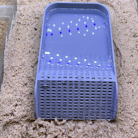 Hermit Crab Hydration Platform Pool – 6.5 x 4 Inch Ramp Access | Made in USA Chatelet Manufacturing 