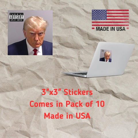 Trump Mugshot Vinyl Sticker Set – 3 Inch Durable Decals – 10 Pack | Made in USA Chatelet Manufacturing 