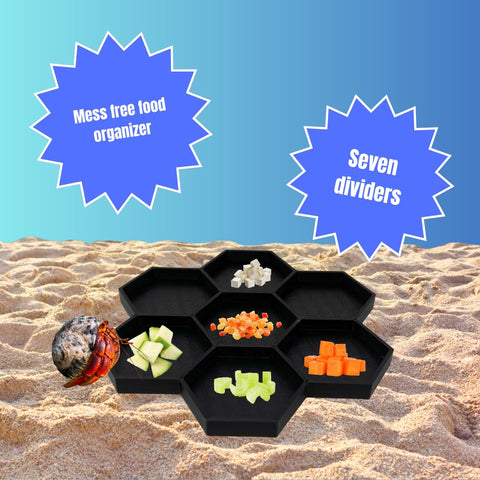 Hermit Crab Food Tray – 7 Compartment Feeding Dish for Crabs and Snails | Made in USA Chatelet Manufacturing 
