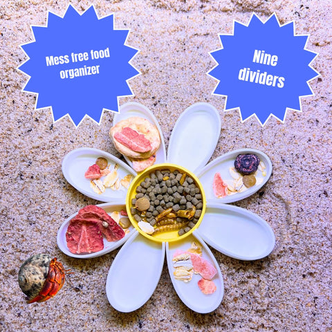 Hermit Crab Daisy Food Tray | 9 Dividers Daisy Design | Great Feeder Dish for Crab, Lizard or Frog Terrariums | Made in USA Chatelet Manufacturing 