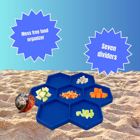 Hermit Crab Food Tray – 7 Compartment Feeding Dish for Crabs and Snails | Made in USA Chatelet Manufacturing 