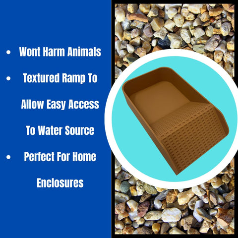 Hermit Crab Hydration Platform Pool – 6.5 x 4 Inch Ramp Access | Made in USA Chatelet Manufacturing 