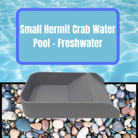 Hermit Crab Hydration Platform Pool – 6.5 x 4 Inch Ramp Access | Made in USA Chatelet Manufacturing 