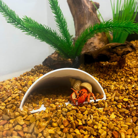 REEFSHAPE Aquarium or Terrarium Pocket Cave | Minimalist Shelter Cave for Fish, Shrimp, Reptiles, Amphibians, & More! | Made in USA Chatelet Manufacturing 
