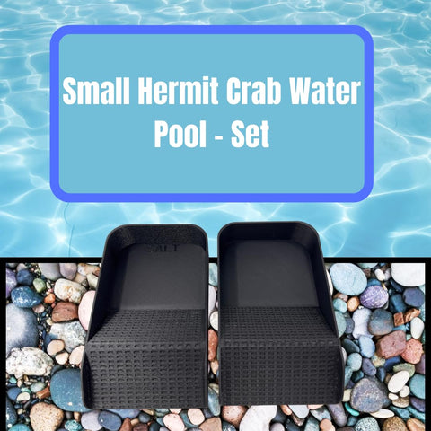Hermit Crab Hydration Platform Pool – 6.5 x 4 Inch Ramp Access | Made in USA Chatelet Manufacturing 