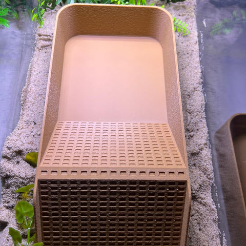 XL Hermit Crab Watering Pool – Platform Ramp Accessory for Turtles and Amphibians | 9.75 Inch x 5 Inch | Made in USA Chatelet Manufacturing 