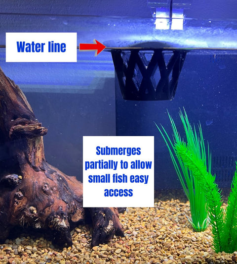 Chatelet Small Aquarium Fish Feeding Cage – Surface Float Design | Made in USA Chatelet Manufacturing 