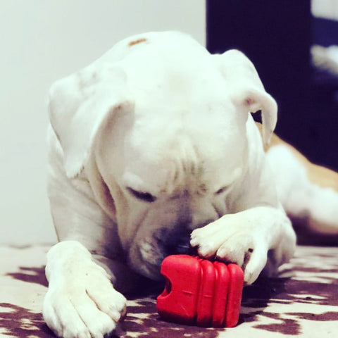 Durable Large Rubber Heart Dog Tug Toy With Rope – Interactive Chew Toy | Made in USA SodaPup  Rubber Dog Toys