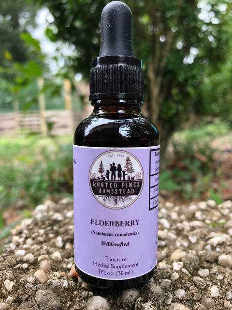 ELDERBERRY TINCTURE 30ml Rooted Pines Homestead 
