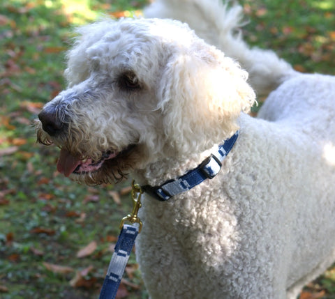 A Tail We Could Wag Leash - Game Day Auburn Leathercrafters  item