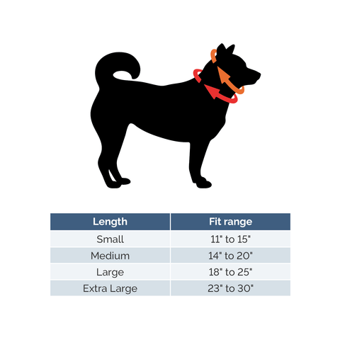 A Tail We Could Wag Martingale Dog Collar - Laguna Brava Auburn Leathercrafters  item