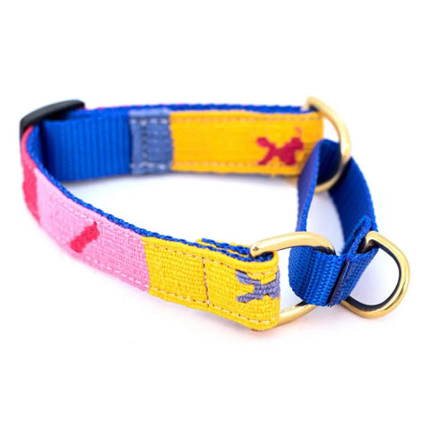 A Tail We Could Wag Martingale Dog Collar - Starry Day Mango Auburn Leathercrafters  item