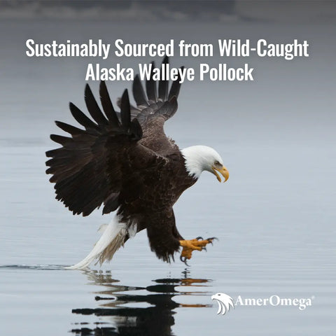 AMEROMEGA®: American Made Fish Oil Ameromega  Health