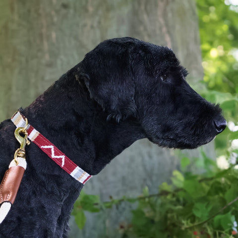 Colorful Hand-Woven Side-Release Dog Collar 1 Inch – Durable Nylon Backing | Made in USA Auburn Leathercrafters  item