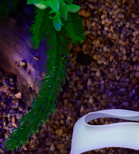 Abstract Wavy Aquarium Viewing Tunnel – Under-Substrate Hideout | Made in USA Chatelet Manufacturing 