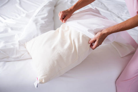 Adjustable Wool Pillow with Natural Cotton Cover | Organic & USA-Made | Great for All Sleep Positions American Blossom Linens  Pillows & Pillowcases