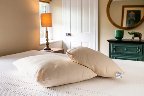 Two Natural Cotton Pillows With Wool Filling by American Blossom Linens rest on a neatly made bed in a softly lit bedroom, with a lamp, window, white door, green dresser, and round mirror in the background.